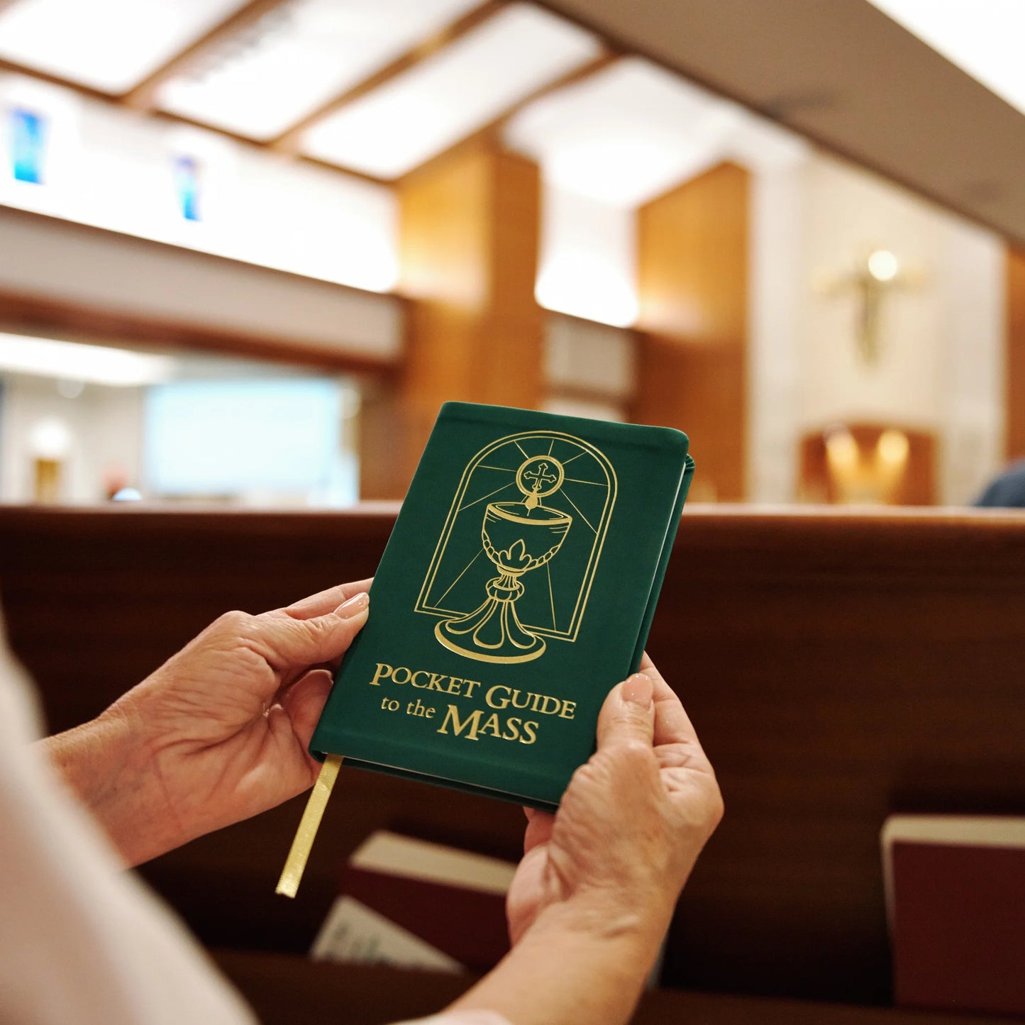 Pocket Guide to the Mass