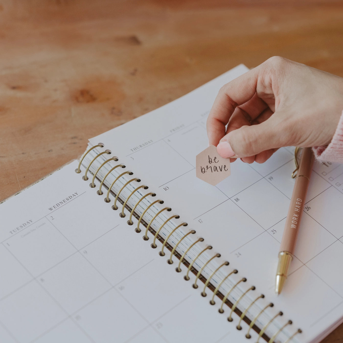 PREORDER: ou Have A Purpose 2025-2026 18 Month Planner