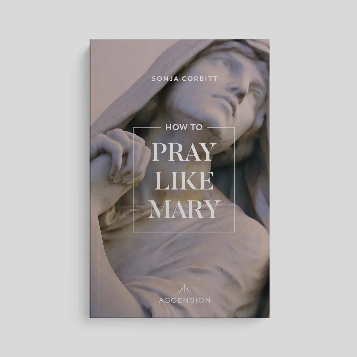 PREORDER: How to Pray Like Mary