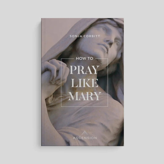 PREORDER: How to Pray Like Mary
